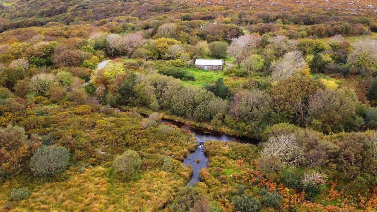 Вилла Fernwood Клифден Экстерьер фото